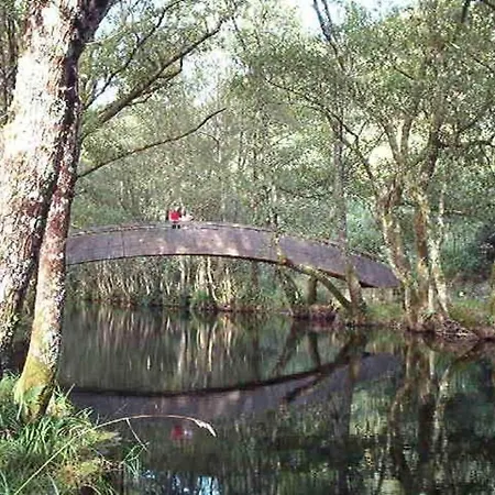 Camino De Santiago