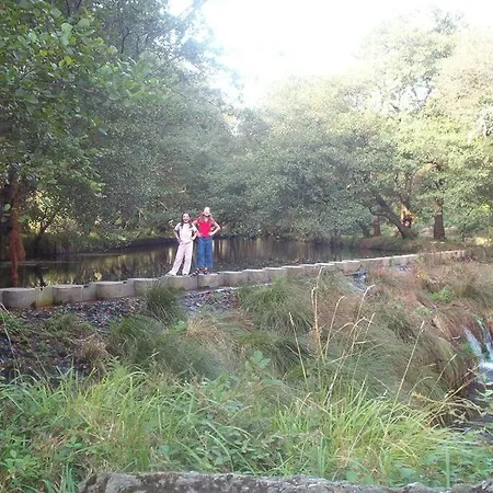 Camino De Santiago *
